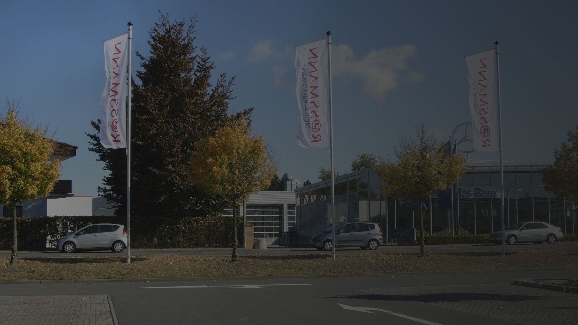 Drei große Flaggen mit dem Schriftzug "Rossmann" stehen neben einem modernen Gebäude und geparkten Autos, umgeben von grünen Bäumen unter einem blauen Himmel.
